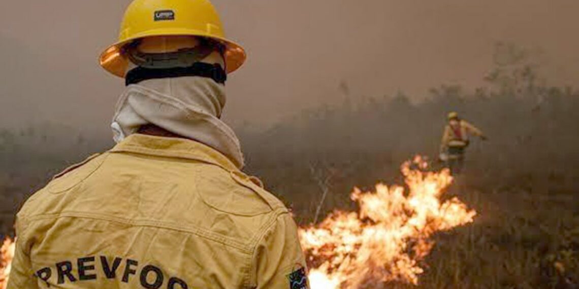Governo Federal amplia combate aos incêndios no Amazonas com reforço de aeronaves, forças de segurança e apoio militar