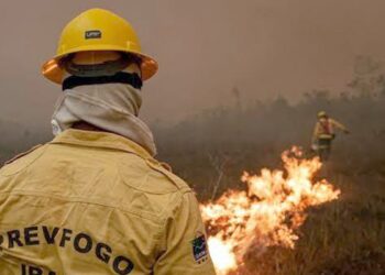 Governo Federal amplia combate aos incêndios no Amazonas com reforço de aeronaves, forças de segurança e apoio militar